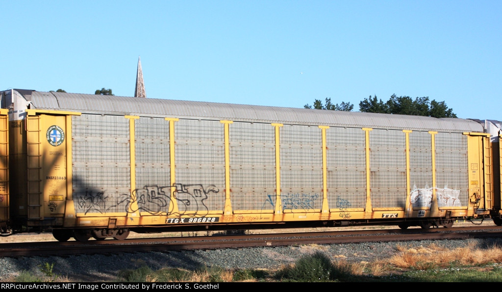 TTGX 986828