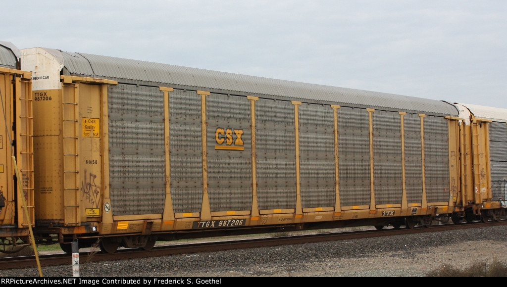 TTGX 987206