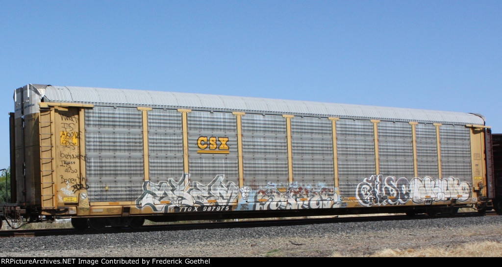 TTGX 987975