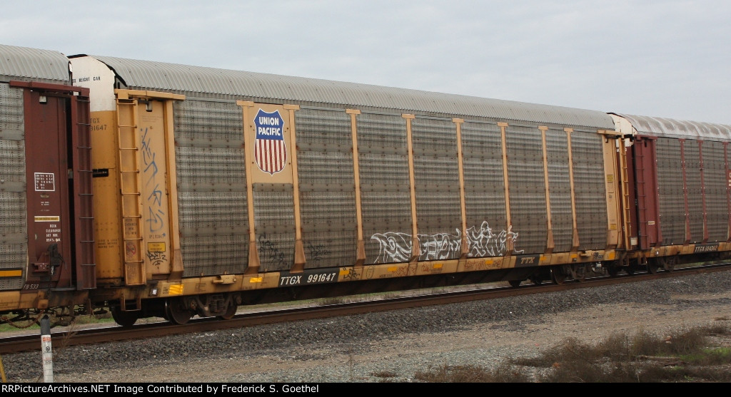 TTGX 991647