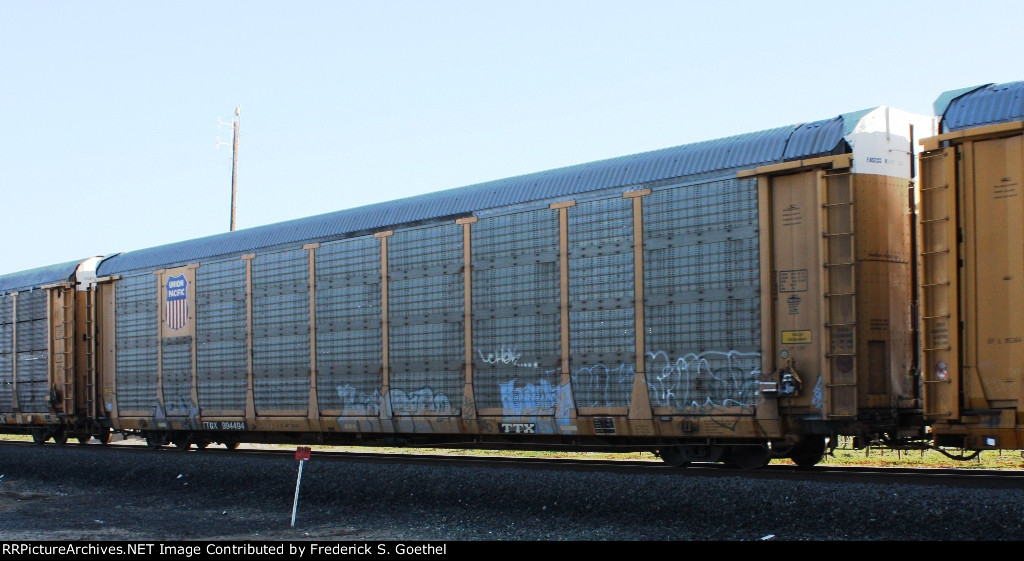 TTGX 994494