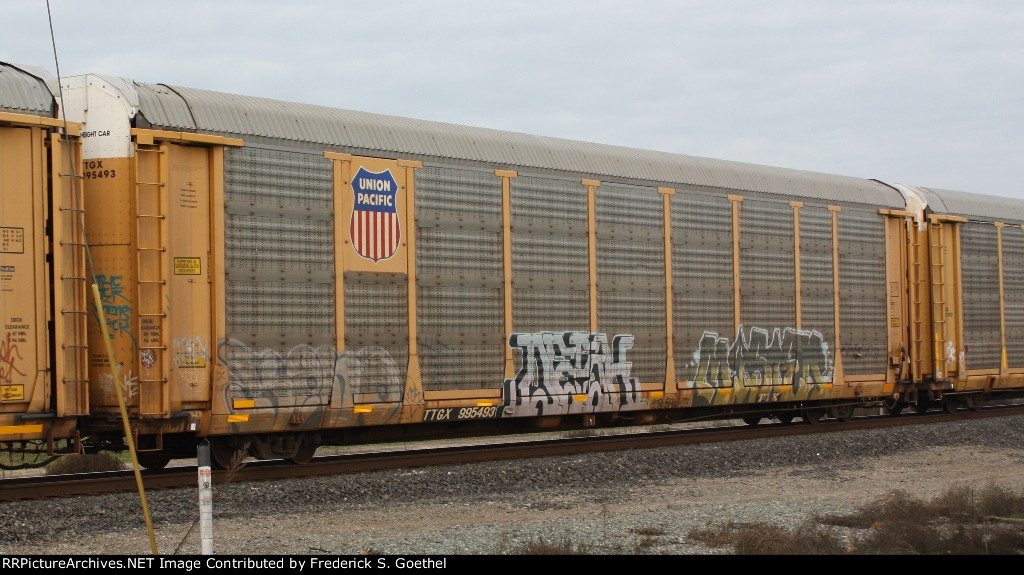TTGX 995493