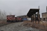 CP 8641