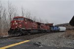CP 8641