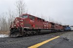 CP 8641