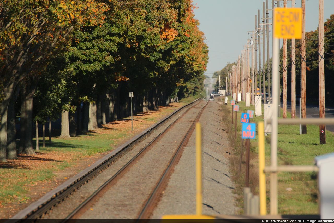 Folliage Looking East