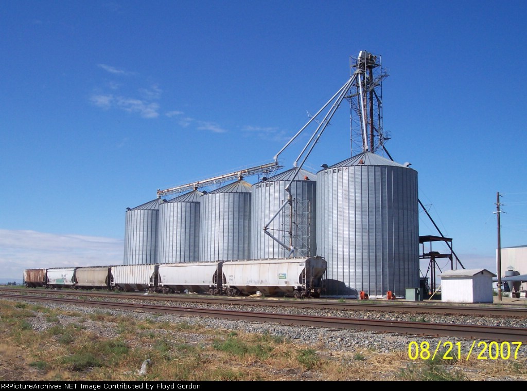 The far right covered hopper GACX 5703 is being loaded with grain