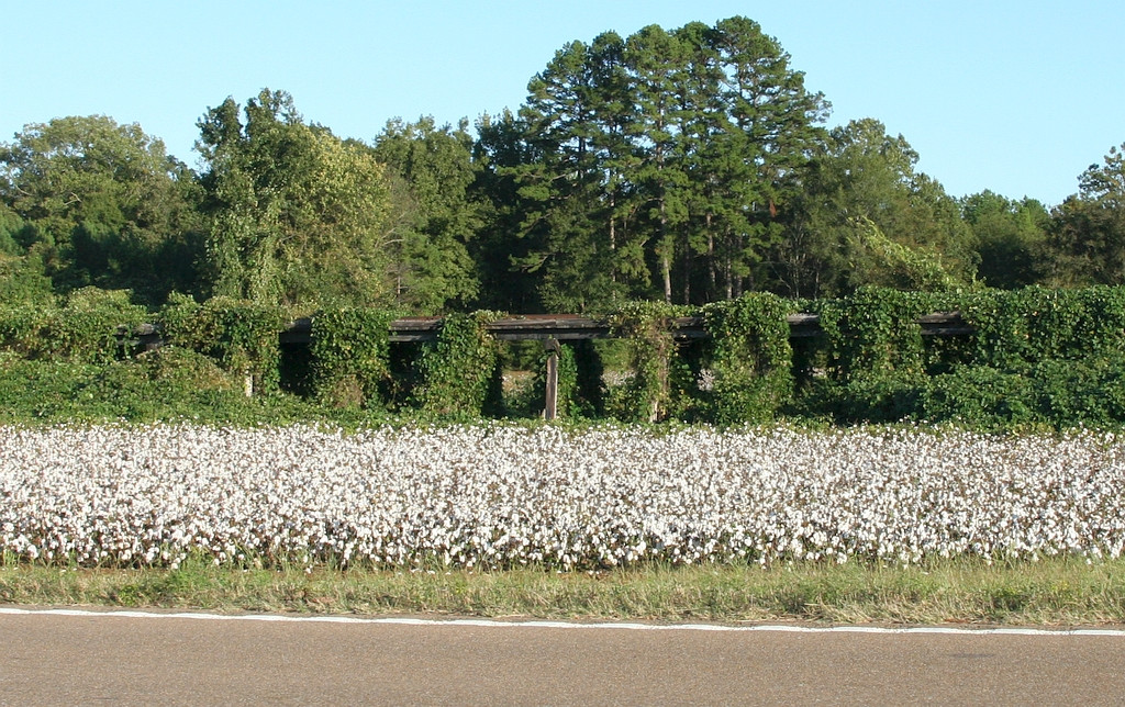 Mississippi Central bridge