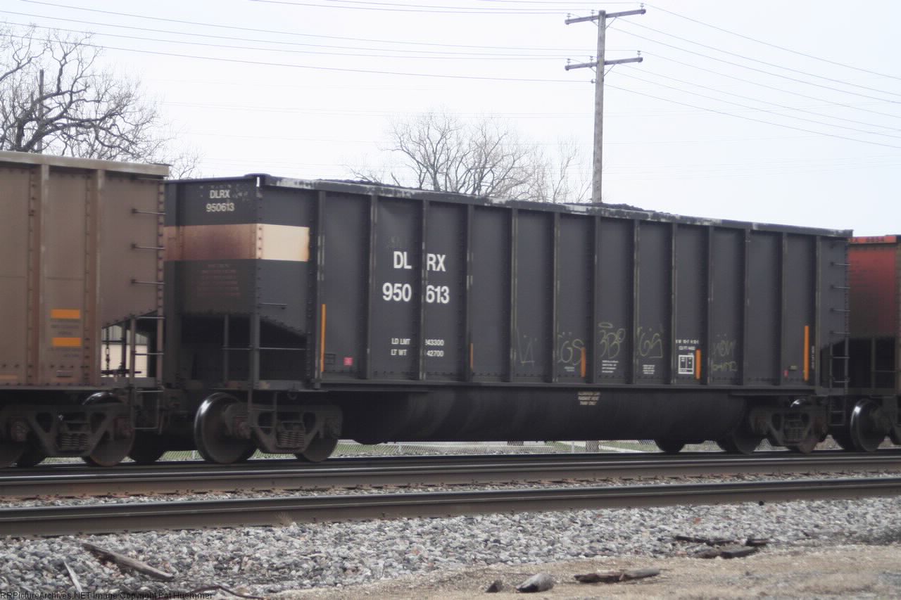 DLRX 950613
