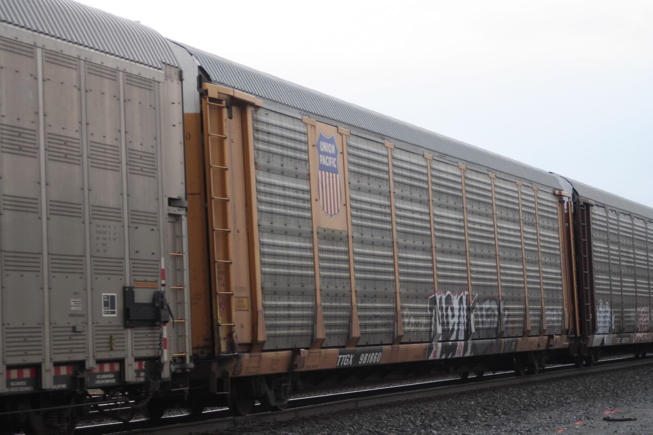 TTGX 981860