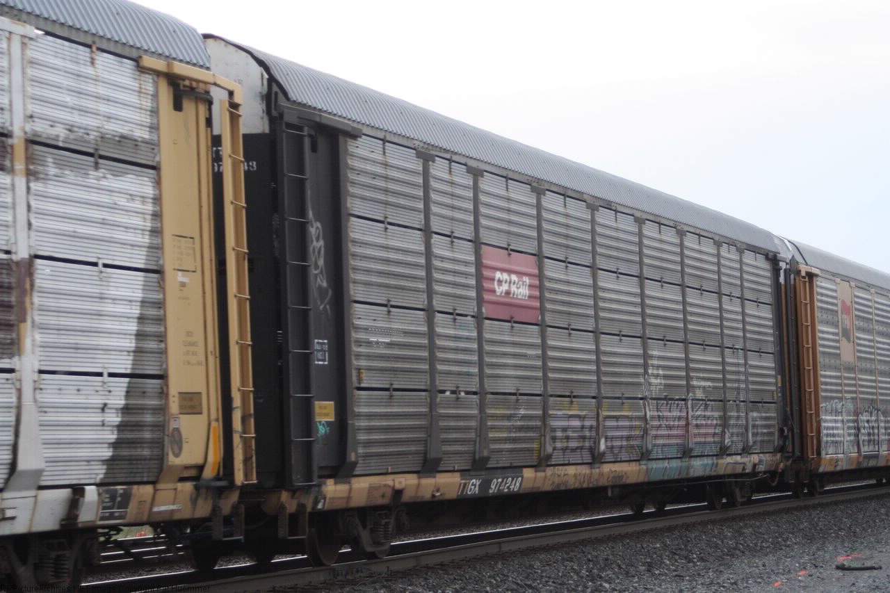 TTGX 974248