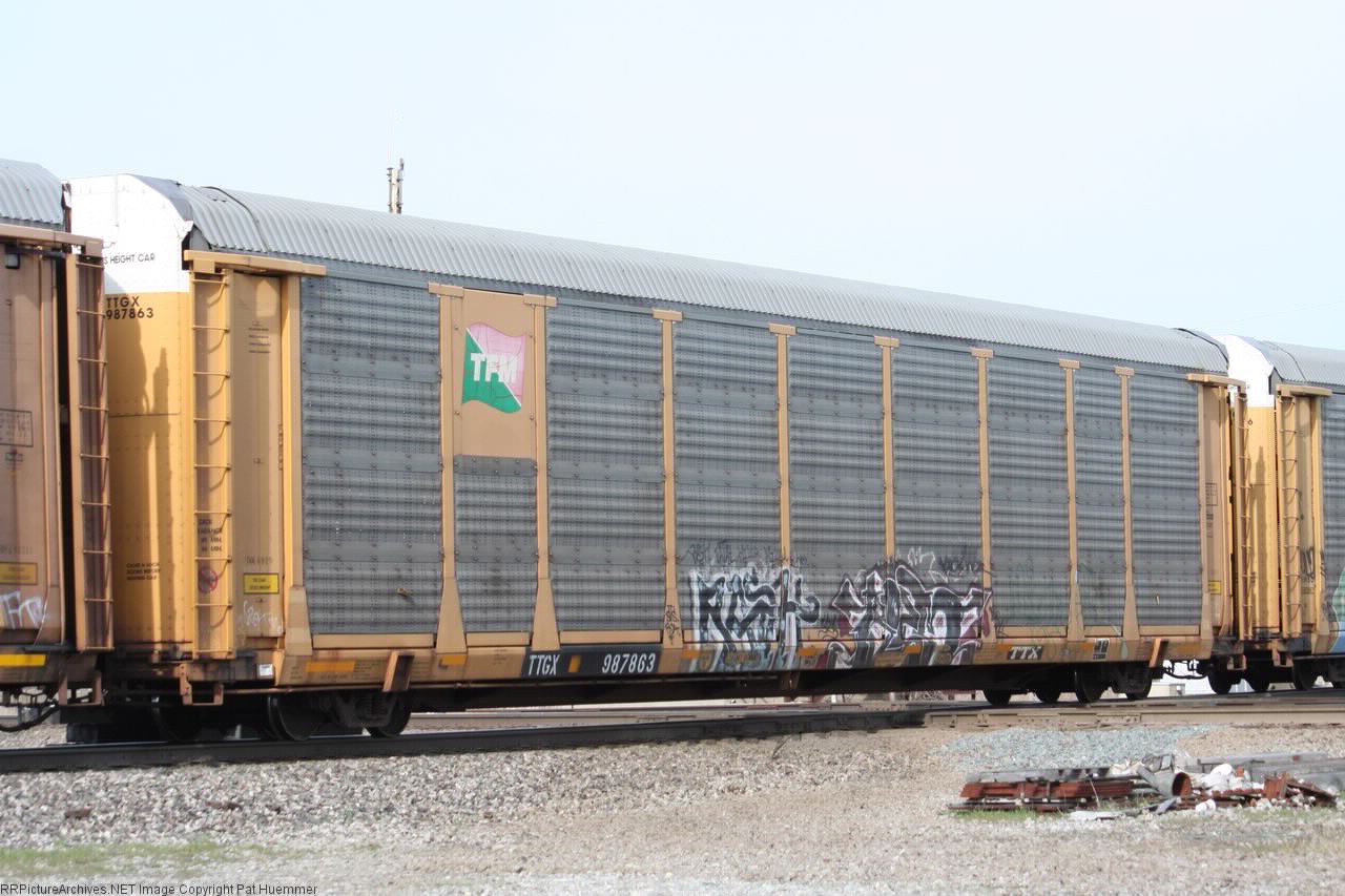 TTGX 987863