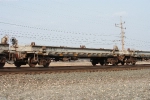 NS 168393