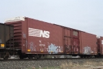 NS 487381
