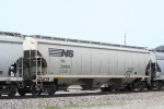 NS 295003