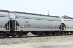 NS 850023