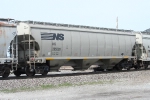 NS 295205