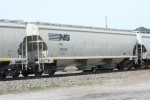 NS 295330