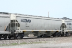 NS 295389