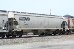 NS 295050