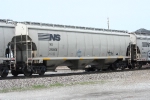 NS 295006