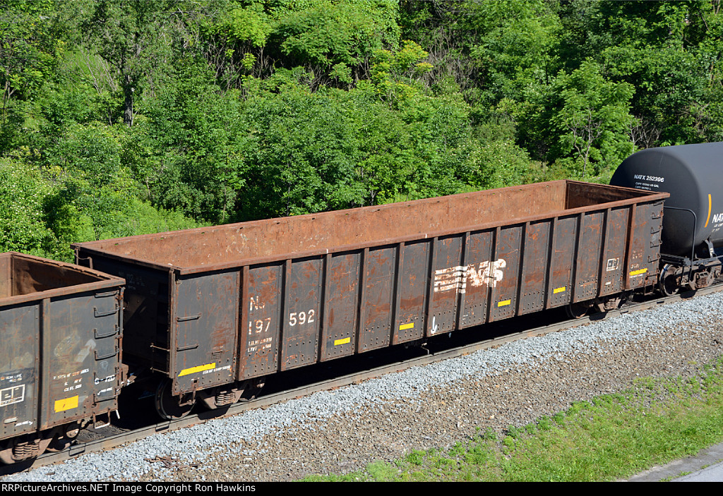NS 197592