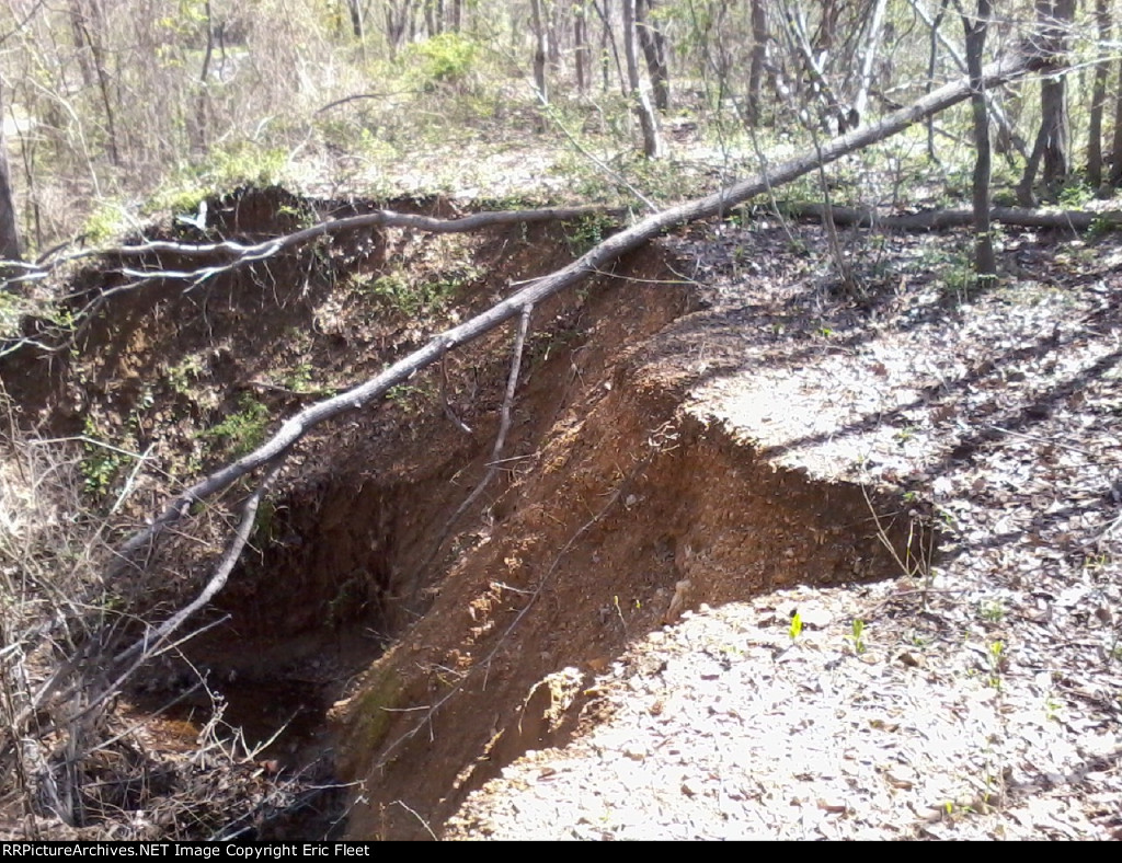 Old Brick Culvert