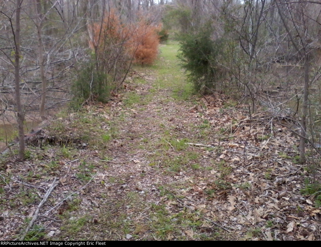 Old NC&STL right-of-way on Gray's Creek bridge
