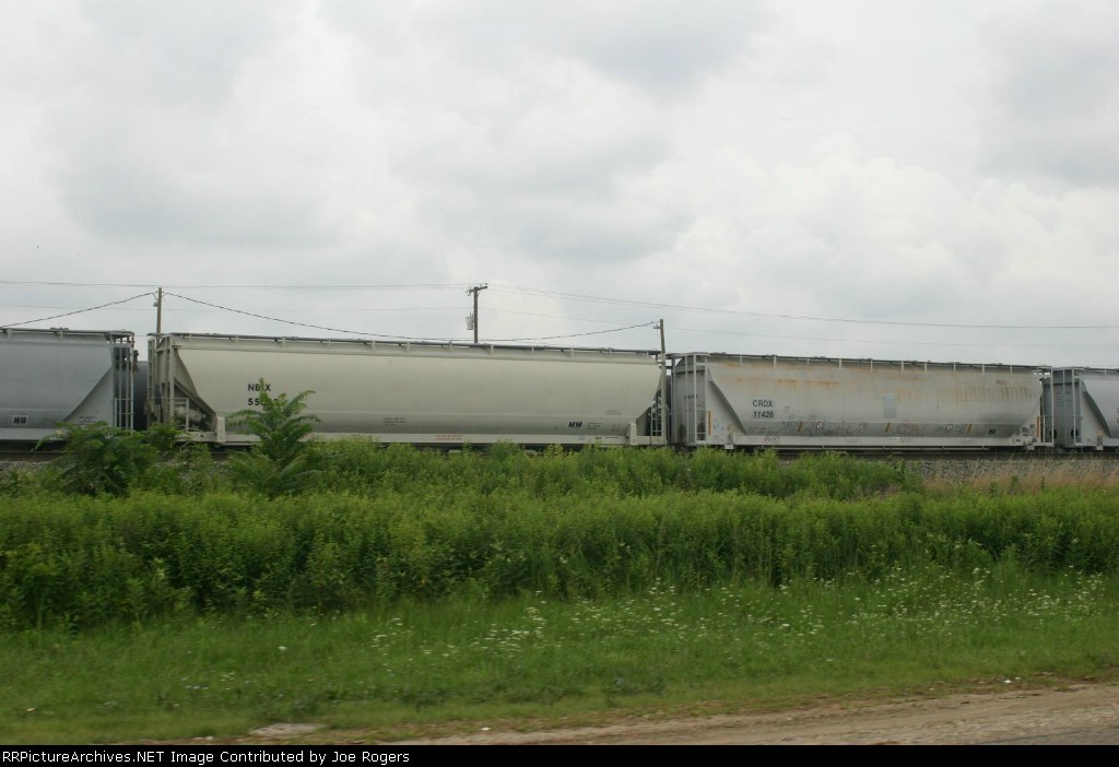 CRDX 11428