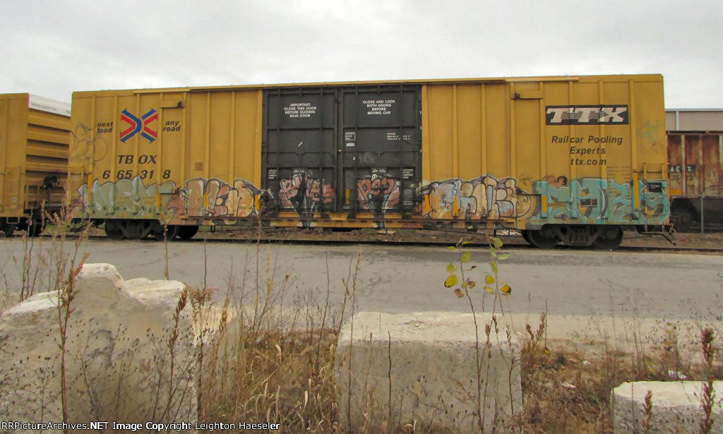 TBOX 665318