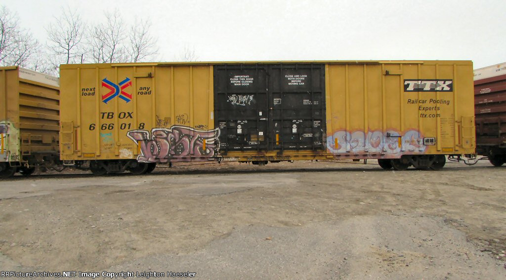 TBOX 666018