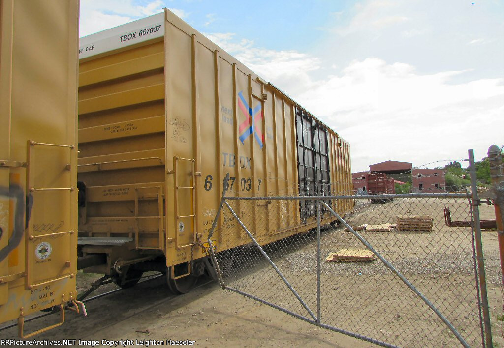 TBOX 667037