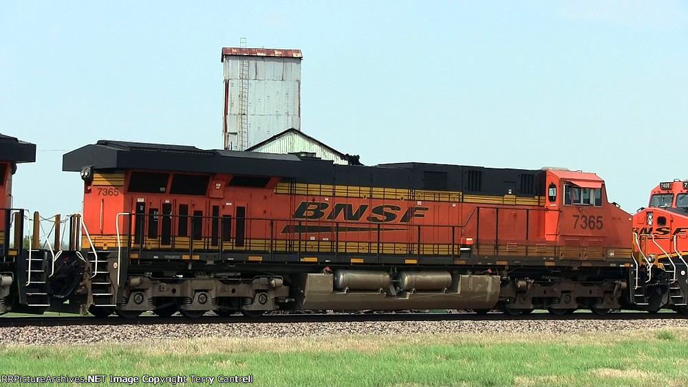 BNSF 7365