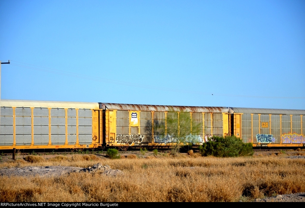 ETTX UP Autorack with graffiti