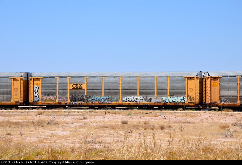 ETTX CSX Autorack with graffiti