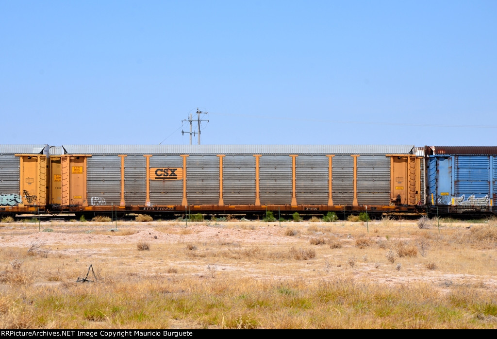 ETTX CSX Autorack with graffiti