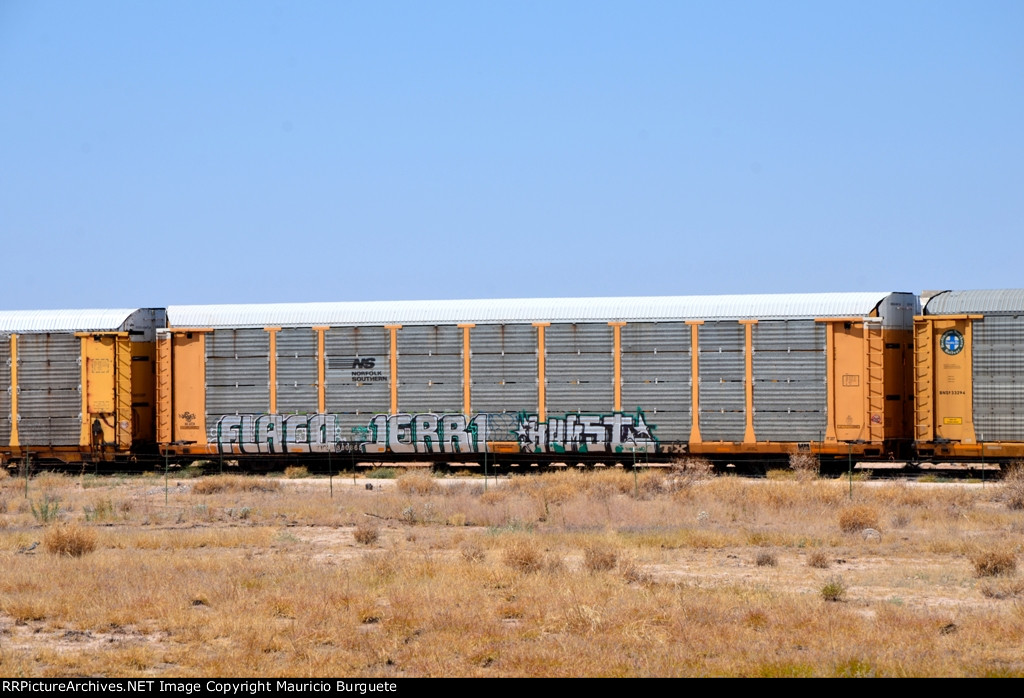 ETTX NS Autorack with graffiti