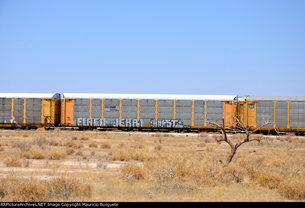 ETTX NS Autorack with graffiti