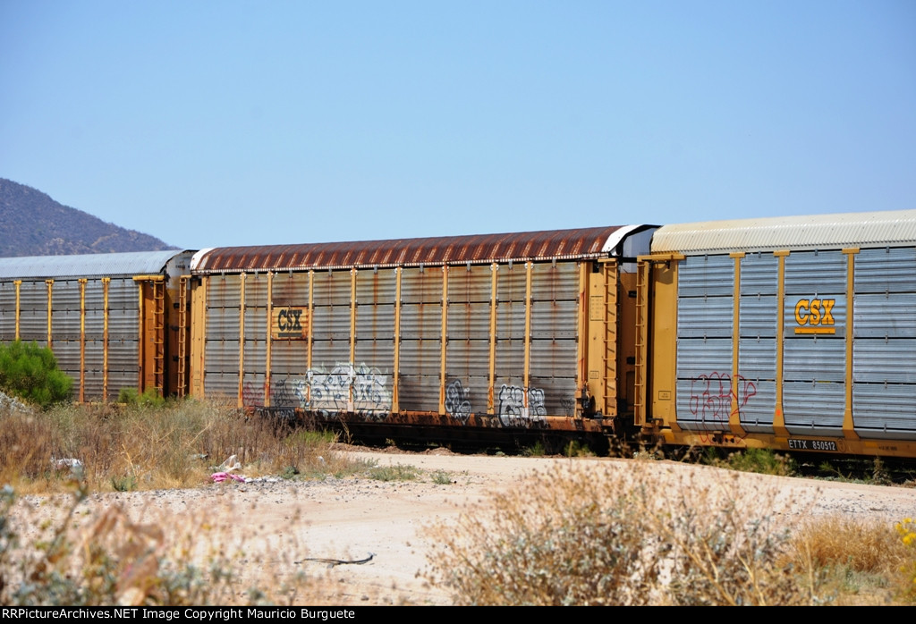 ETTX CSX Autorack with graffiti