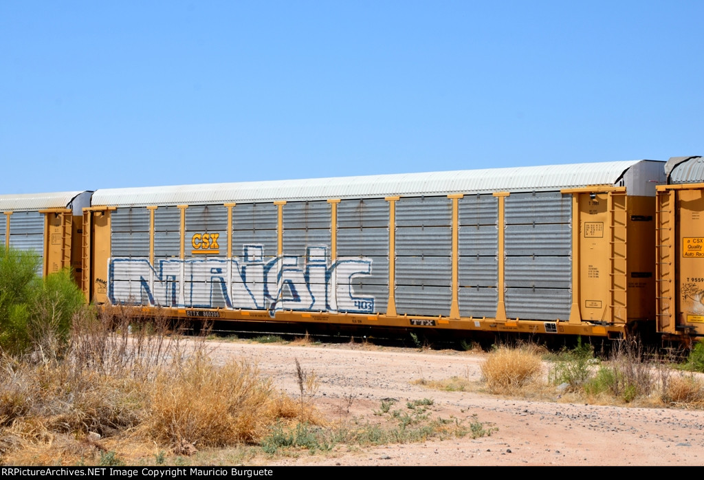 ETTX CSX Autorack with graffiti
