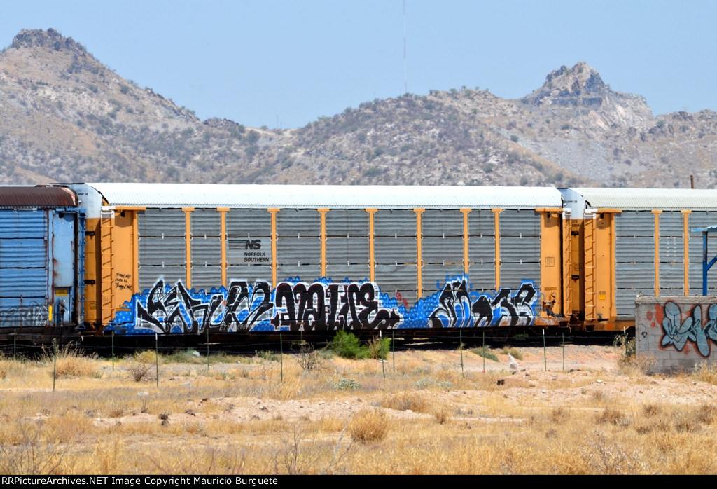 ETTX NS Autorack with graffiti