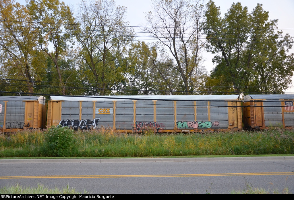 ETTX CSX Autorack with graffiti