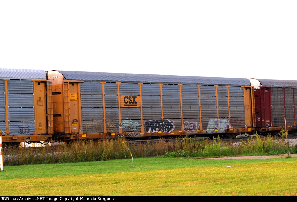 ETTX CSX Autorack with graffiti