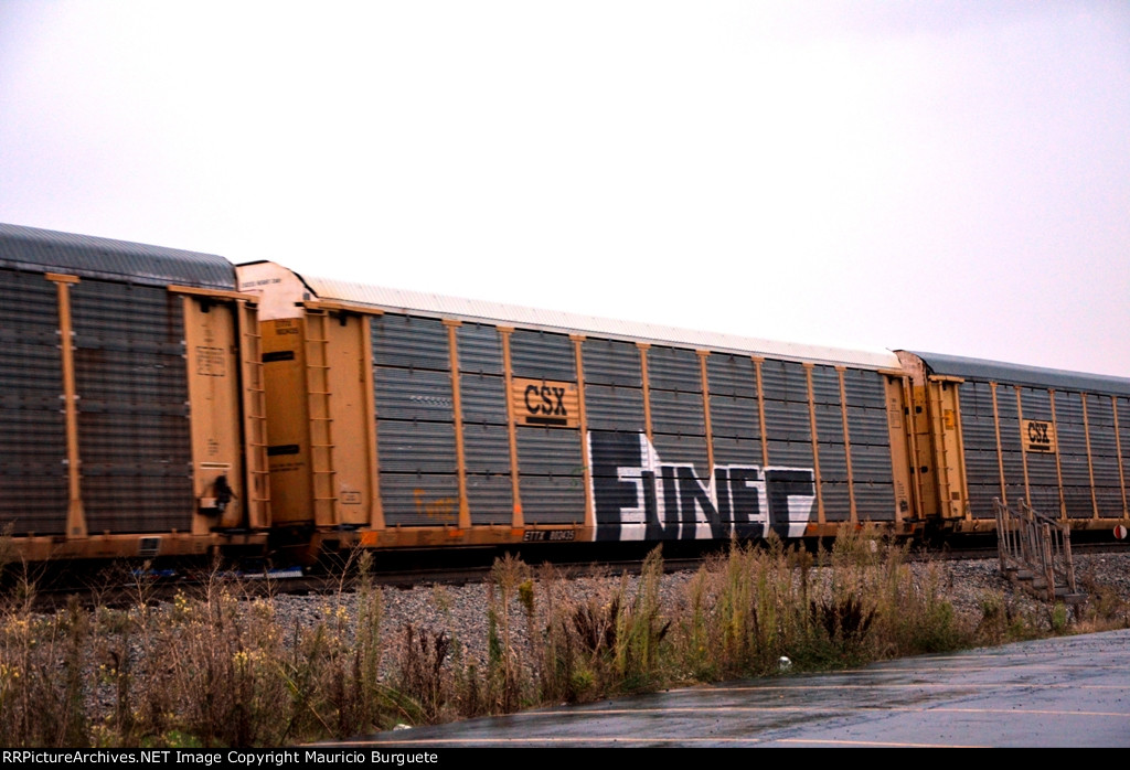 ETTX CSX Autorack with graffiti