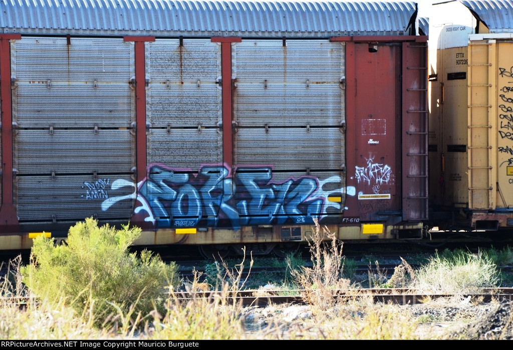 ETTX NS Autorack with graffiti