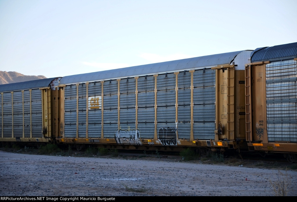 ETTX CSX Autorack with graffiti