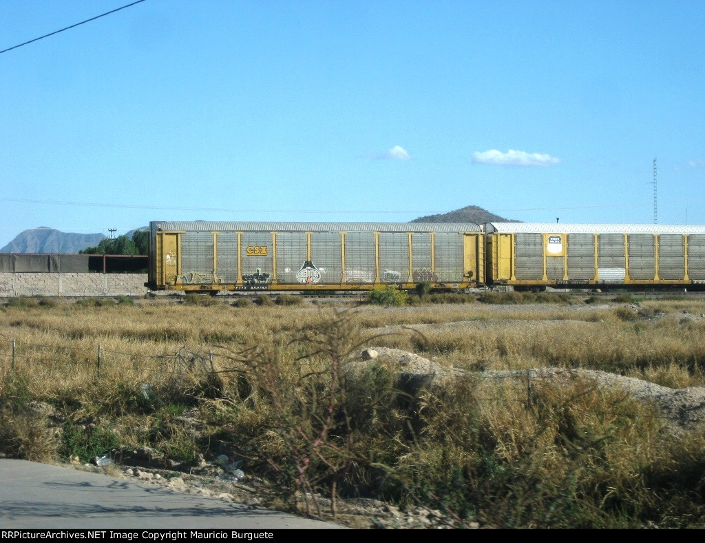 ETTX CSX Autorack with graffiti