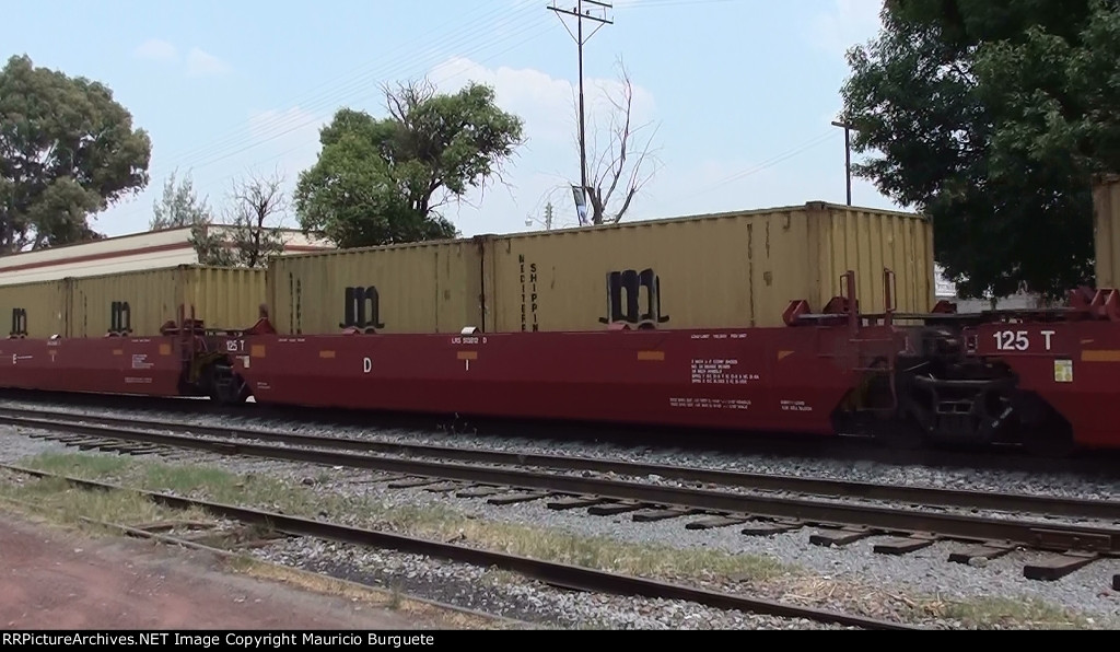 LRS Intermodal Car "D"