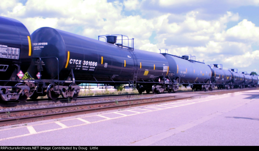 CTCX 301086