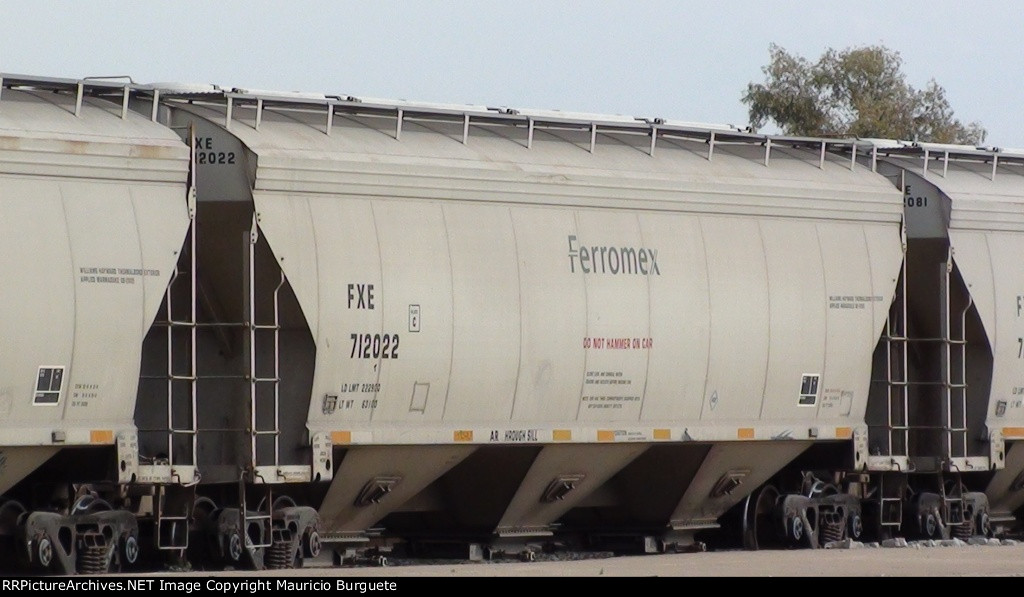 Ferromex covered hoppers